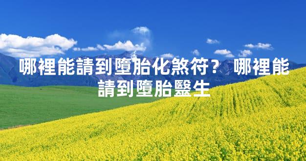 哪裡能請到墮胎化煞符？ 哪裡能請到墮胎毉生